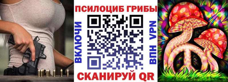 Галлюциногенные грибы Psilocybe  Шенкурск 